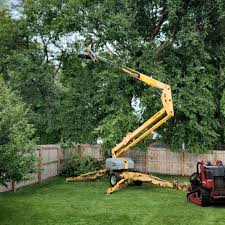 Best Hedge Trimming  in Wedgefield, FL